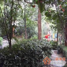 中紫小区小区图片