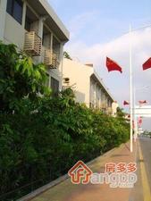 南海花园别墅小区图片