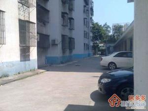 文锦中学教工楼小区图片