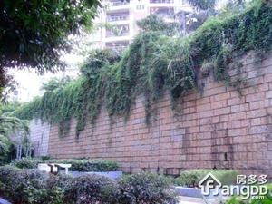 翠怡豪苑小区图片