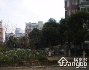 上南公寓小区图片