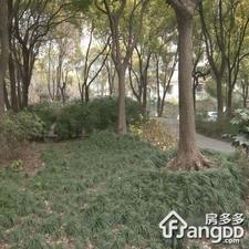 达安花园小区图片