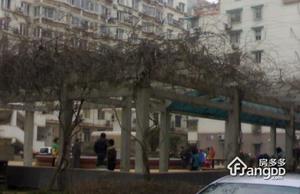 艺苑村小区图片