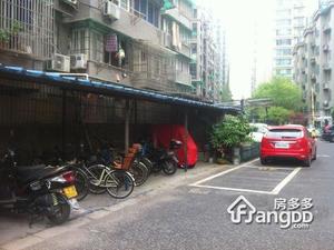 新河坝小区图片