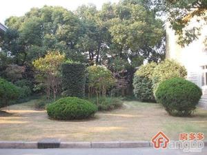 锦苑小区(长宁)小区图片