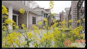 环东别墅小区图片