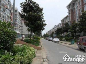 摄山星城小区图片