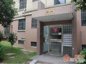 星河枫园小区图片