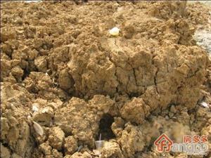 墨林雅苑小区图片
