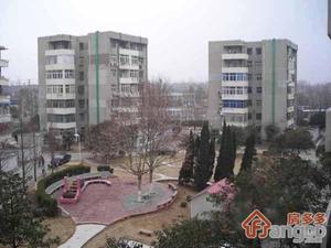 扬子七村小区图片