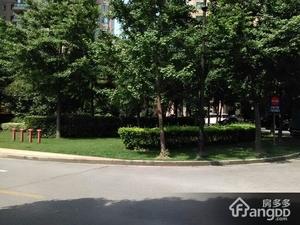 仁恒河滨花园小区图片