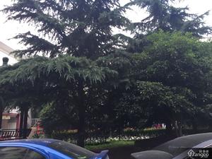 长海一村小区图片