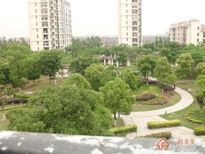 金丰蓝庭三期小区图片