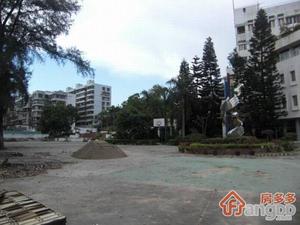 蛇口小学综合楼小区图片