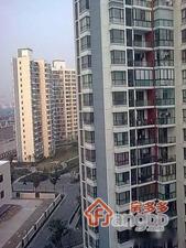新思致公寓小区图片
