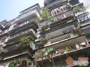 松园小区小区图片