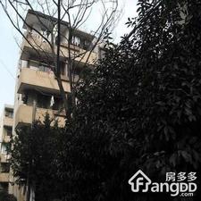 莘建一村小区图片