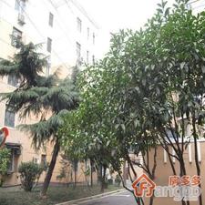莘沥路300弄小区图片
