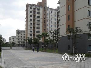 金运花园小区图片
