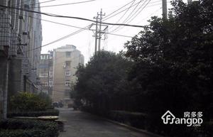 周洼新村小区图片