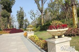 保利蔚蓝林语小区图片