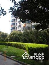 曙光新区小区图片