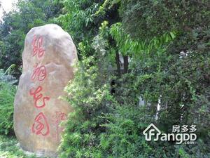 银翔花园小区图片