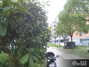 翠谷小区小区图片