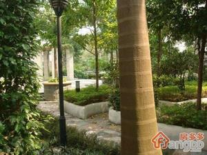 供电局南区住宅小区图片