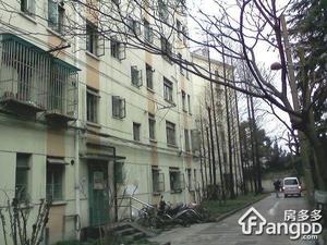 洛川路10弄小区图片