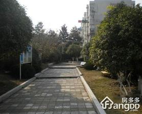 舒兴小区小区图片