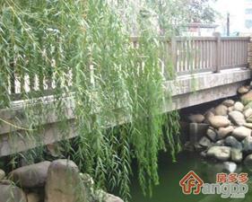 轻纺公寓小区图片