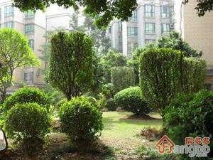 朗陶居小区图片