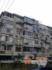 泰和路239弄小区图片