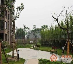 盐湖新居小区图片