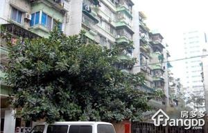 明月二路小区小区图片