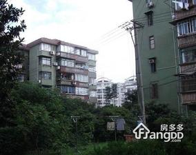金桥新村一街坊小区图片