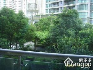 滨江兰庭小区图片