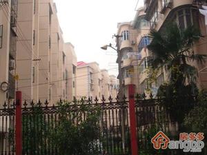 崂山六村小区图片