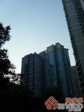 徐汇秀水苑小区图片