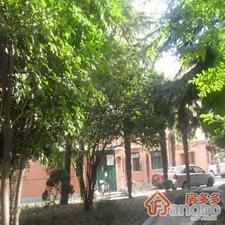 茅台路270弄小区图片