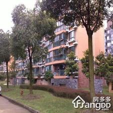 东方滨港园小区图片
