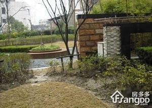 东宝兴路447弄小区图片