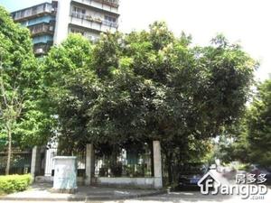 翠岭居小区图片