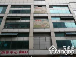 德丰大厦小区图片
