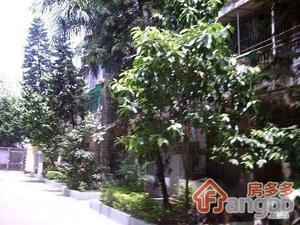 赤岗东路97号大院小区图片