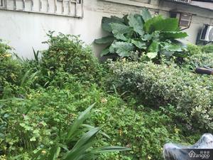 延吉二村小区图片