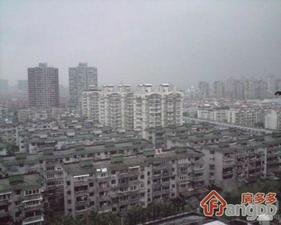 曹杨新村小区图片
