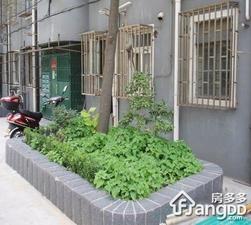 玉兰路71弄小区图片