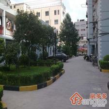 大明小区小区图片